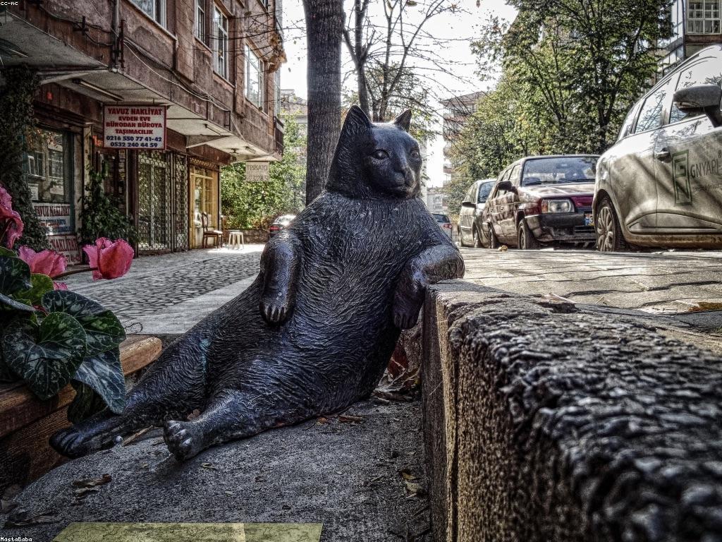 បច្ចេកវិទ្យារបស់ក្បាលកាំបិត