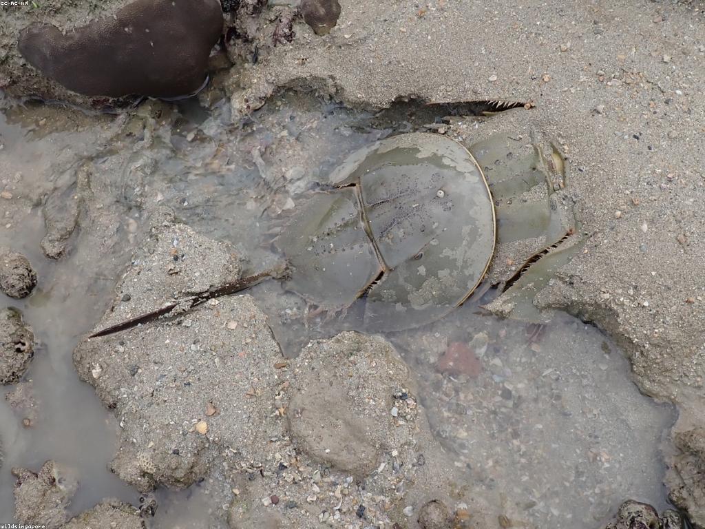 បទពិសោធន៍បាញ់ត្រីដ៏ប្រសើរ៖ ស្វែងរកទីកន្លែងដ៏អស្ចារ្យ