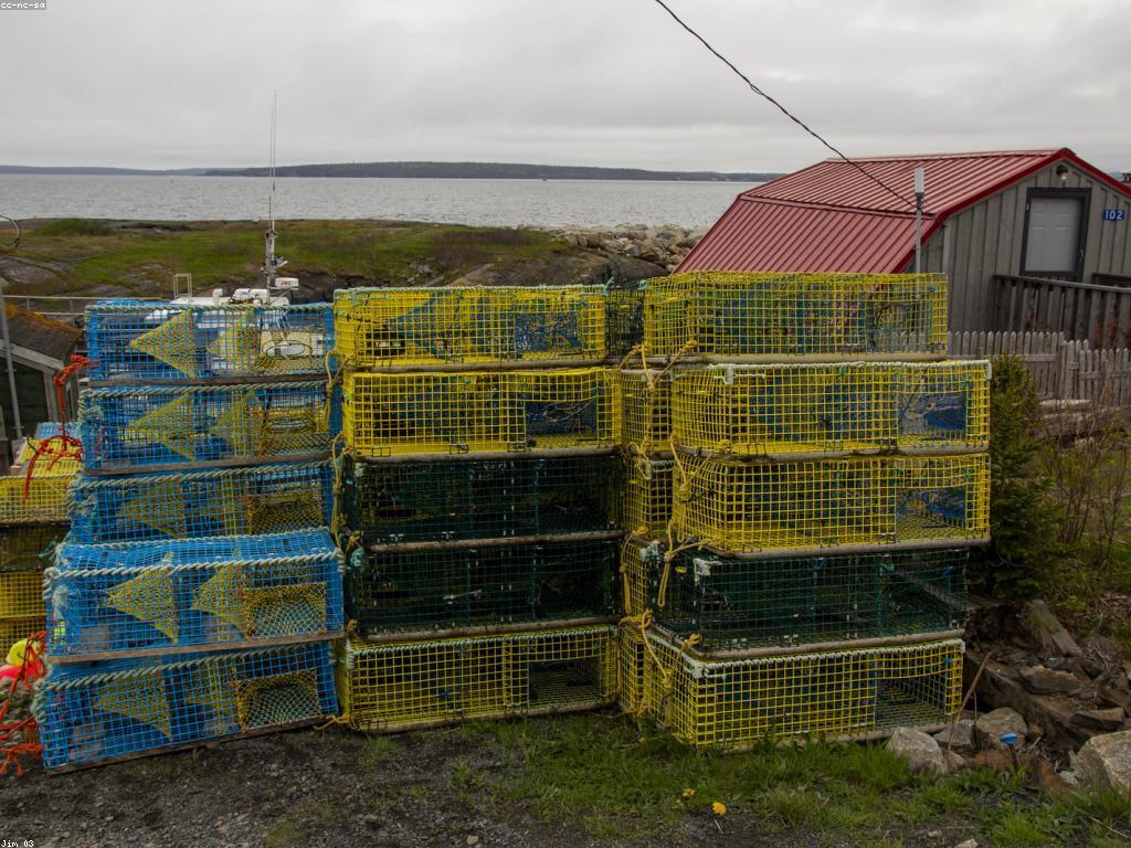 បទពិសោធន៍បាញ់ត្រីដ៏ប្រសើរ៖ ស្វែងរកទីកន្លែងដ៏អស្ចារ្យ