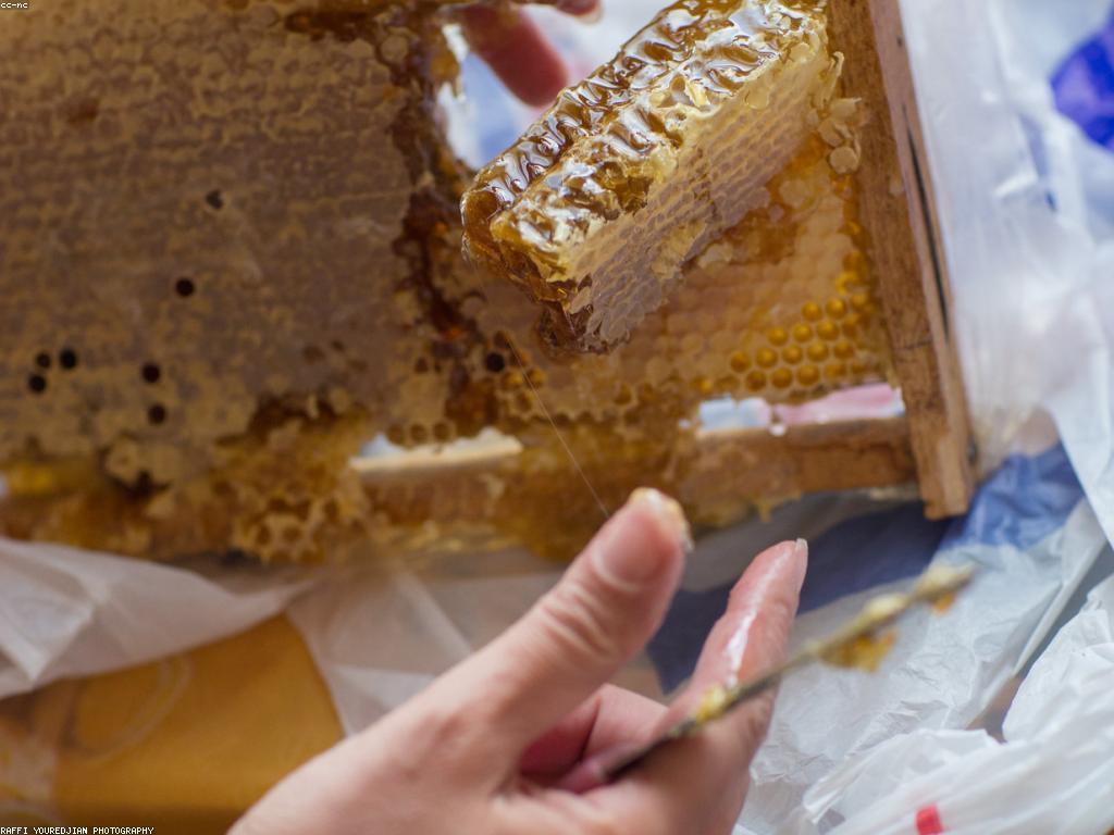 សារៈសំខាន់នៃក្បាលកាំបិត