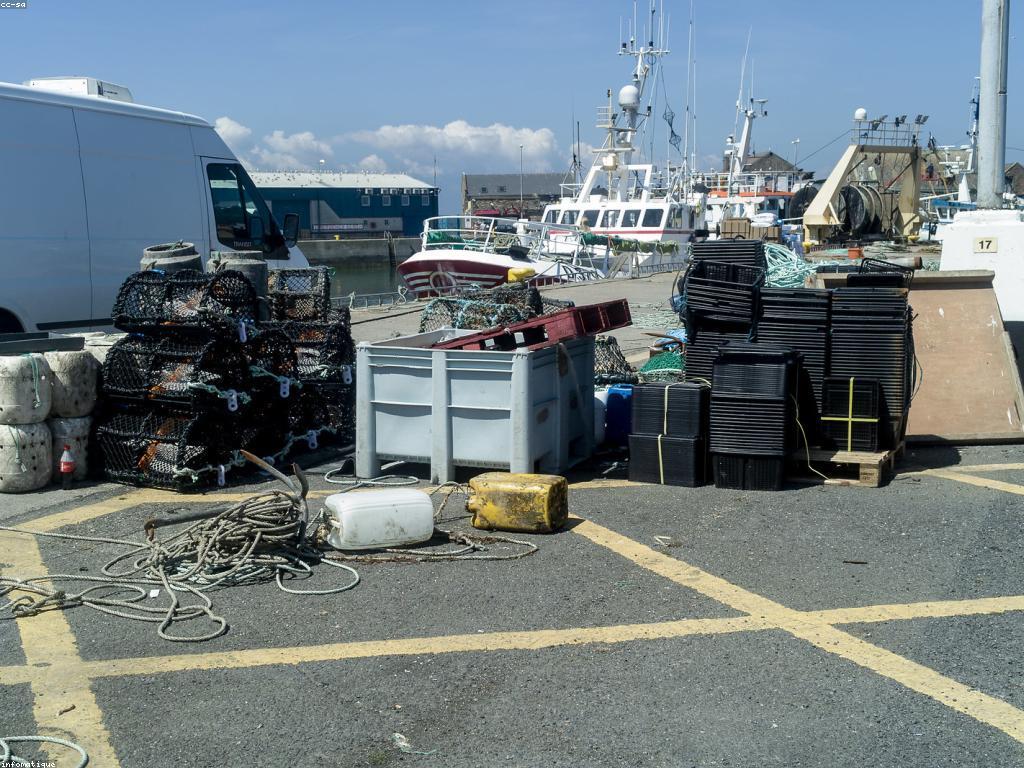 ឧបករណ៍បាញ់ត្រីទាំងអស់ដែលអ្នកត្រូវឲ្យដឹង