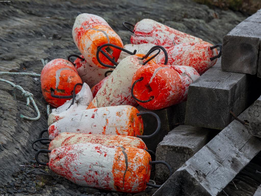 របៀបប្រើប្រាស់ឧបករណ៍បាញ់ត្រីយ៉ាងមានប្រសិទ្ធភាព