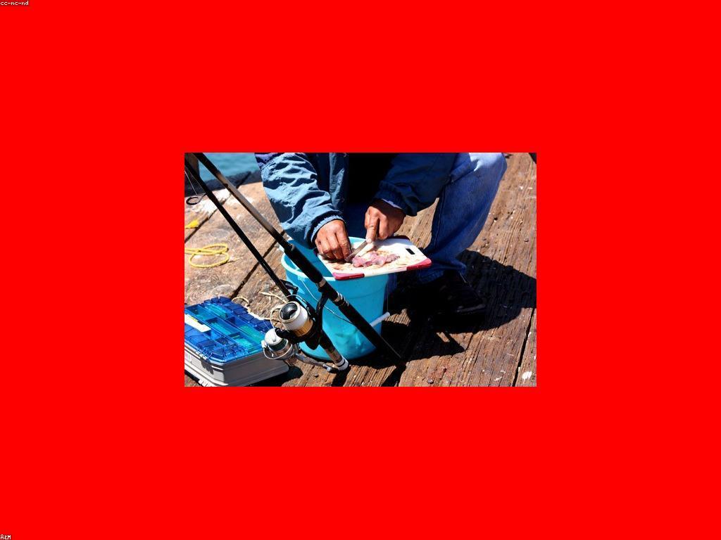 ក្បាលកាំបិត: ការពិចារណា និងការប្រើប្រាស់នៅក្នុងការបាញ់ត្រី